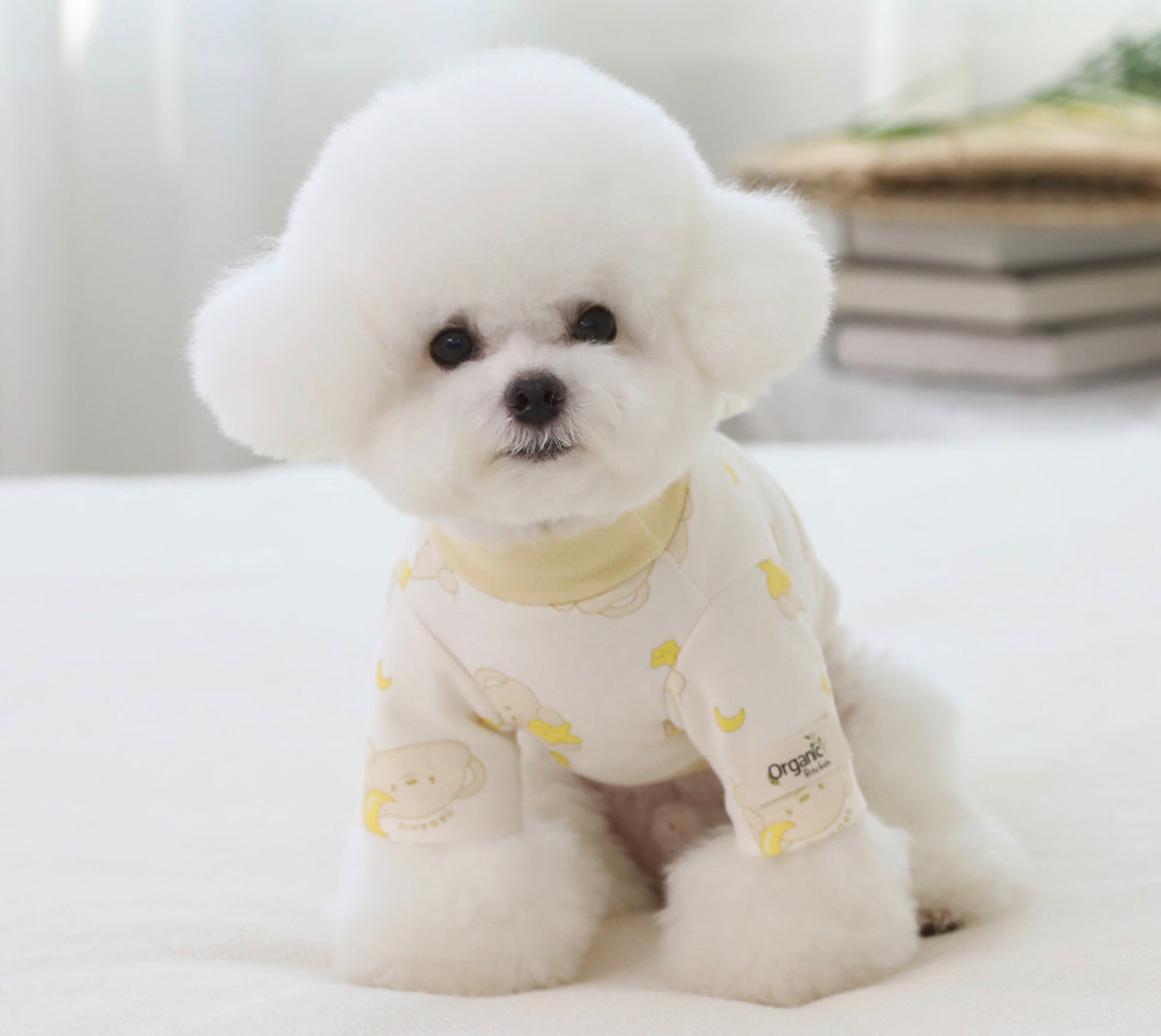 Organic Cotton T-Shirt