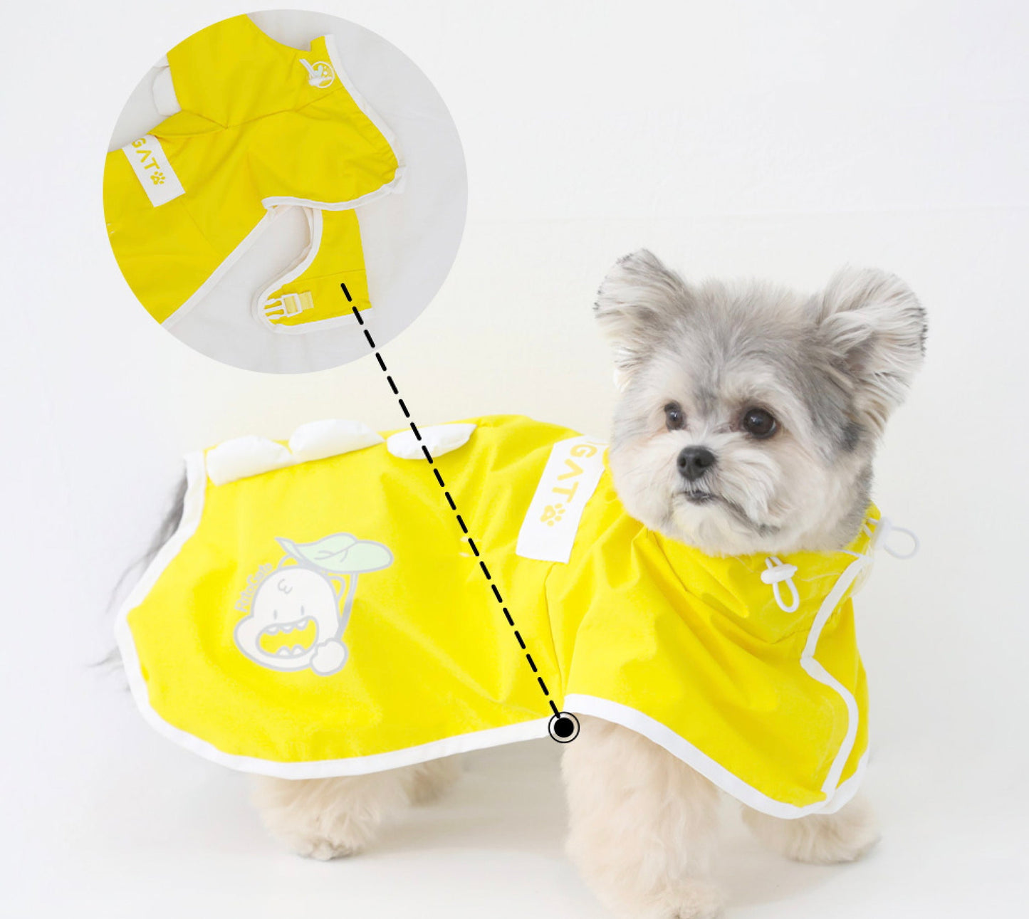 Dinosaur Raincoat for Dog